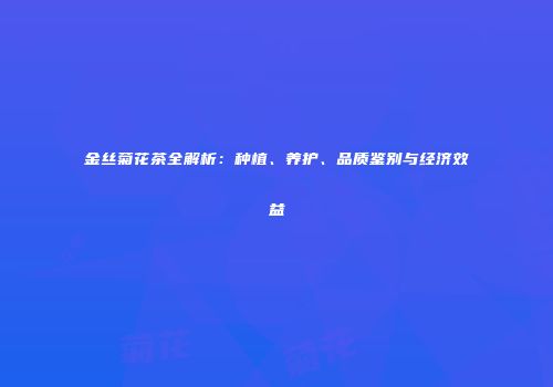 金丝菊花茶全解析：种植、养护、品质鉴别与经济效益