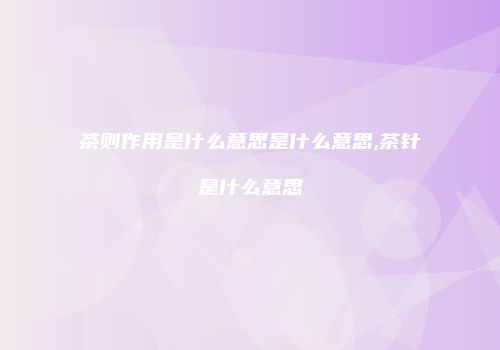 茶则作用是什么意思是什么意思,茶针是什么意思