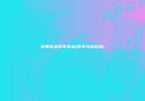 武夷岩茶百年老枞(百年乌龙岩茶)