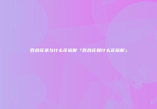百合花茶与什么花搭配「百合花和什么花搭配」