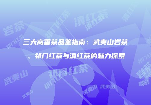 三大高香茶品鉴指南：武夷山岩茶、祁门红茶与滇红茶的魅力探索