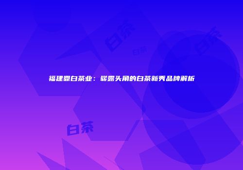 福建鼎白茶业：崭露头角的白茶新秀品牌解析