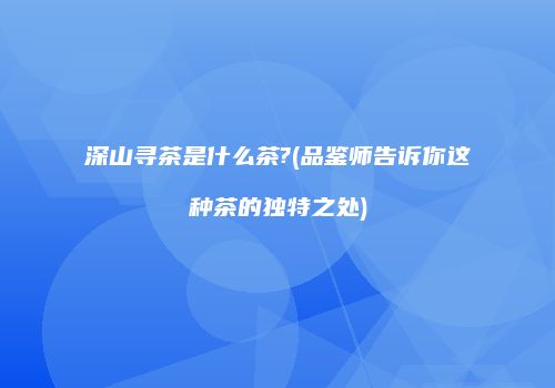 深山寻茶是什么茶?(品鉴师告诉你这种茶的独特之处)