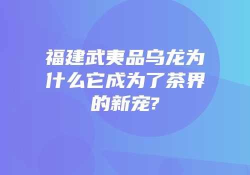 福建武夷品乌龙为什么它成为了茶界的新宠?