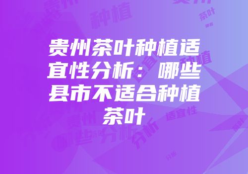 贵州茶叶种植适宜性分析：哪些县市不适合种植茶叶