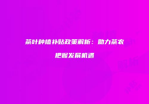 茶叶种植补贴政策解析：助力茶农把握发展机遇