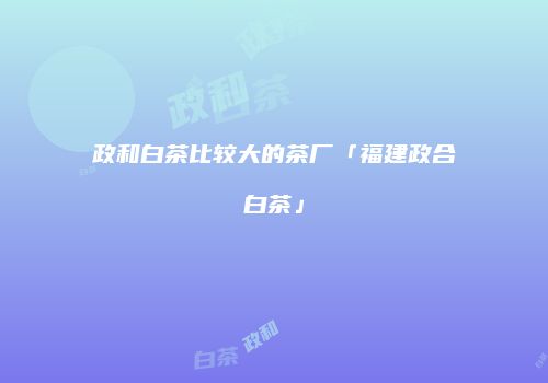 政和白茶比较大的茶厂「福建政合白茶」