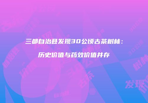 三都自治县发现30公顷古茶树林：历史价值与药效价值并存