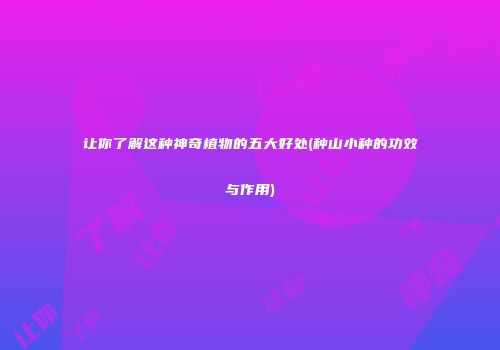 让你了解这种神奇植物的五大好处(种山小种的功效与作用)