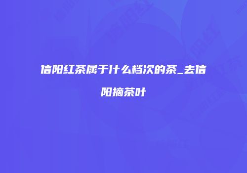信阳红茶属于什么档次的茶_去信阳摘茶叶