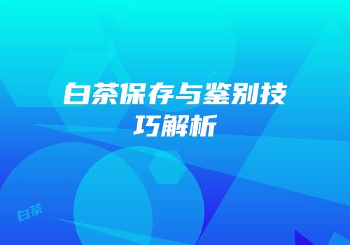 白茶保存与鉴别技巧解析