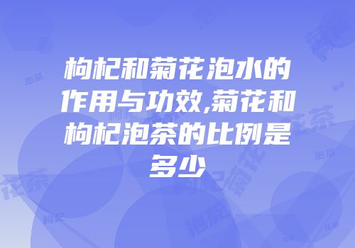 枸杞和菊花泡水的作用与功效,菊花和枸杞泡茶的比例是多少
