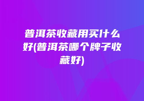 普洱茶收藏用买什么好(普洱茶哪个牌子收藏好)