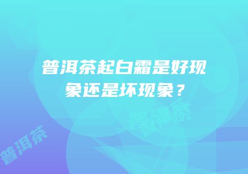 普洱茶起白霜是好现象还是坏现象？