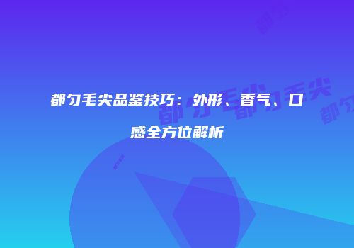 都匀毛尖品鉴技巧：外形、香气、口感全方位解析