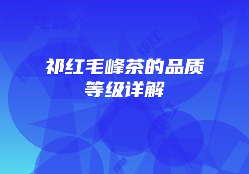 祁红毛峰茶的品质等级详解