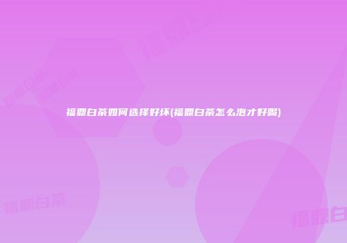 福鼎白茶如何选择好坏(福鼎白茶怎么泡才好喝)