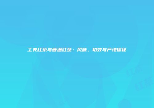 工夫红茶与普通红茶：风味、功效与产地探秘