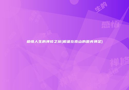 感悟人生的禅修之旅(相逢在南山的篱旁禅定)