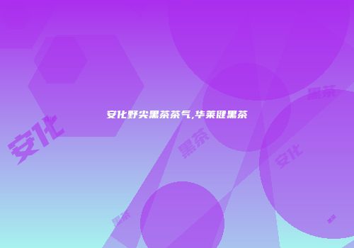 安化野尖黑茶茶气,华莱健黑茶
