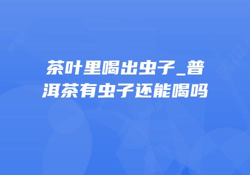 茶叶里喝出虫子_普洱茶有虫子还能喝吗