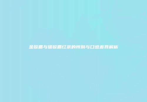 金骏眉与银骏眉红茶的辨别与口感差异解析