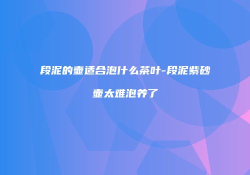段泥的壶适合泡什么茶叶-段泥紫砂壶太难泡养了