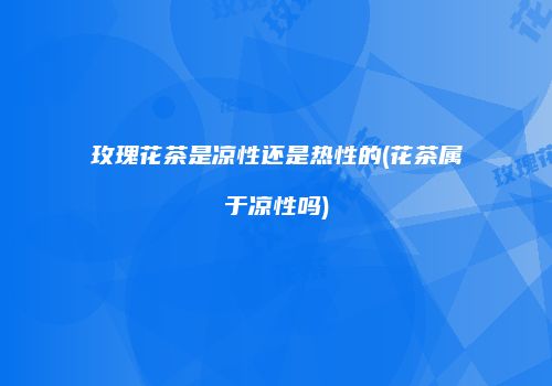 玫瑰花茶是凉性还是热性的(花茶属于凉性吗)