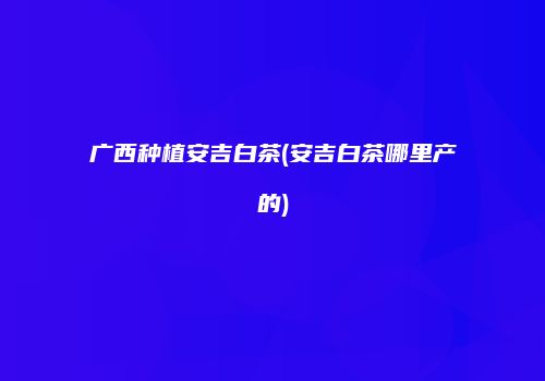 广西种植安吉白茶(安吉白茶哪里产的)