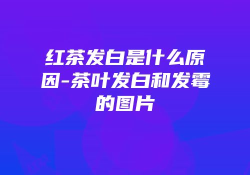 红茶发白是什么原因-茶叶发白和发霉的图片