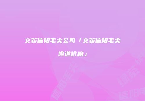 文新信阳毛尖公司「文新信阳毛尖修道价格」