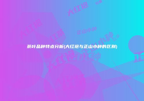 茶叶品种特点分析(大红袍与正山小种的区别)