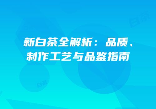 新白茶全解析：品质、制作工艺与品鉴指南