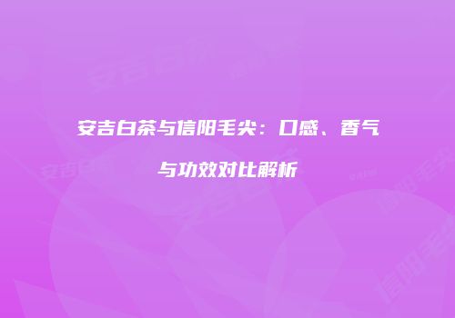 安吉白茶与信阳毛尖：口感、香气与功效对比解析