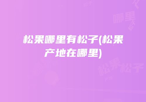 松果哪里有松子(松果产地在哪里)
