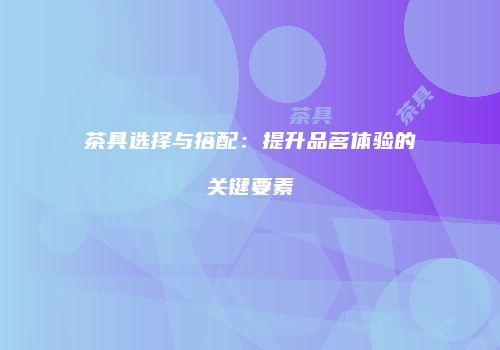 茶具选择与搭配：提升品茗体验的关键要素