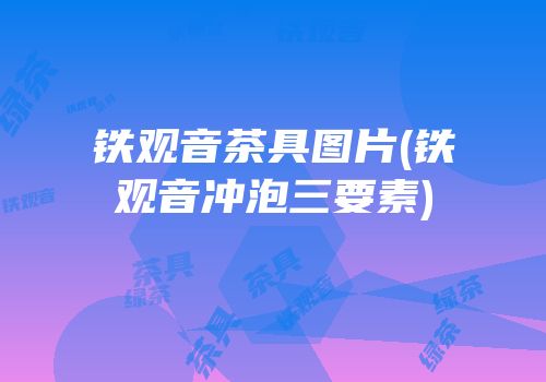 铁观音茶具图片(铁观音冲泡三要素)