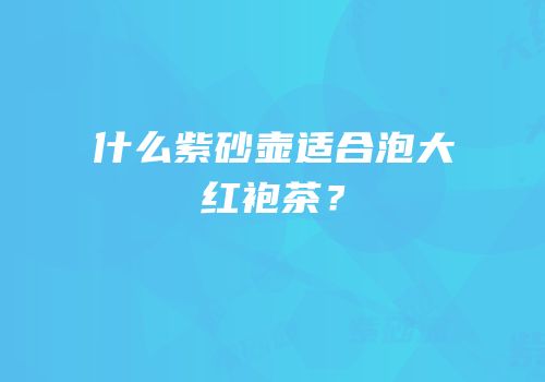 什么紫砂壶适合泡大红袍茶？