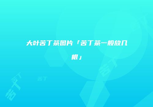 大叶苦丁茶图片「苦丁茶一般放几根」