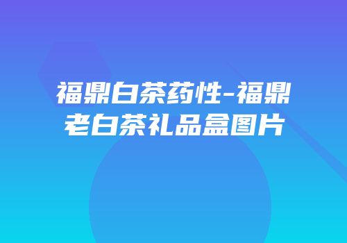 福鼎白茶药性-福鼎老白茶礼品盒图片