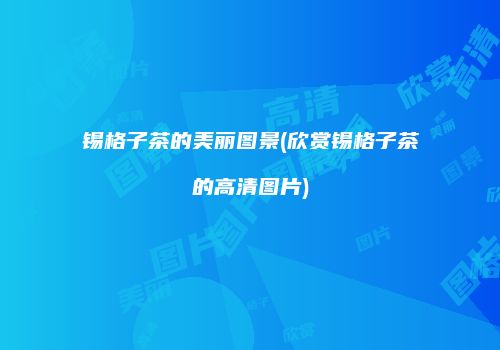 锡格子茶的美丽图景(欣赏锡格子茶的高清图片)