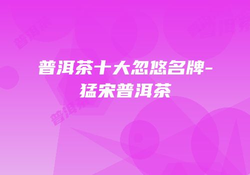 普洱茶十大忽悠名牌-猛宋普洱茶