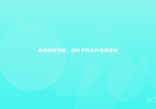 茶具搭配攻略：提升不同茶叶品茗体验