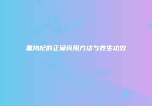 黑枸杞的正确食用方法与养生功效