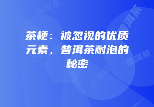 茶梗：被忽视的优质元素，普洱茶耐泡的秘密