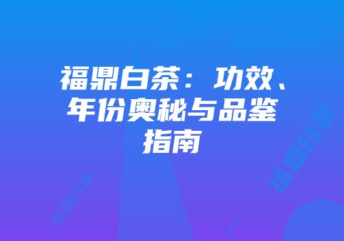 福鼎白茶：功效、年份奥秘与品鉴指南