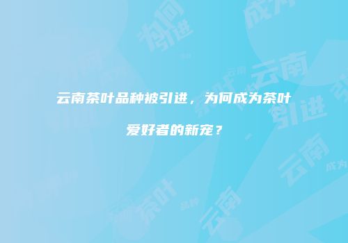 云南茶叶品种被引进，为何成为茶叶爱好者的新宠？