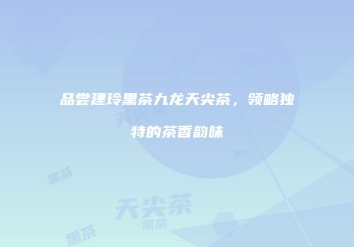 品尝建玲黑茶九龙天尖茶，领略独特的茶香韵味