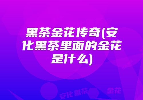 黑茶金花传奇(安化黑茶里面的金花是什么)