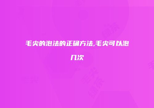 毛尖的泡法的正确方法,毛尖可以泡几次